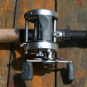 Bait Casting Reel