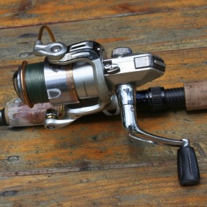 Spinning Reel