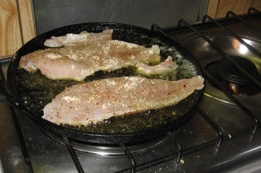 walleye fillet