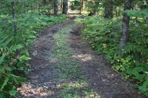 Cottage Hiking Trail