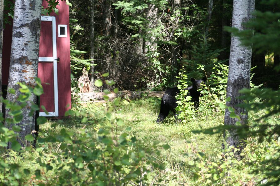 Outhouse full?
