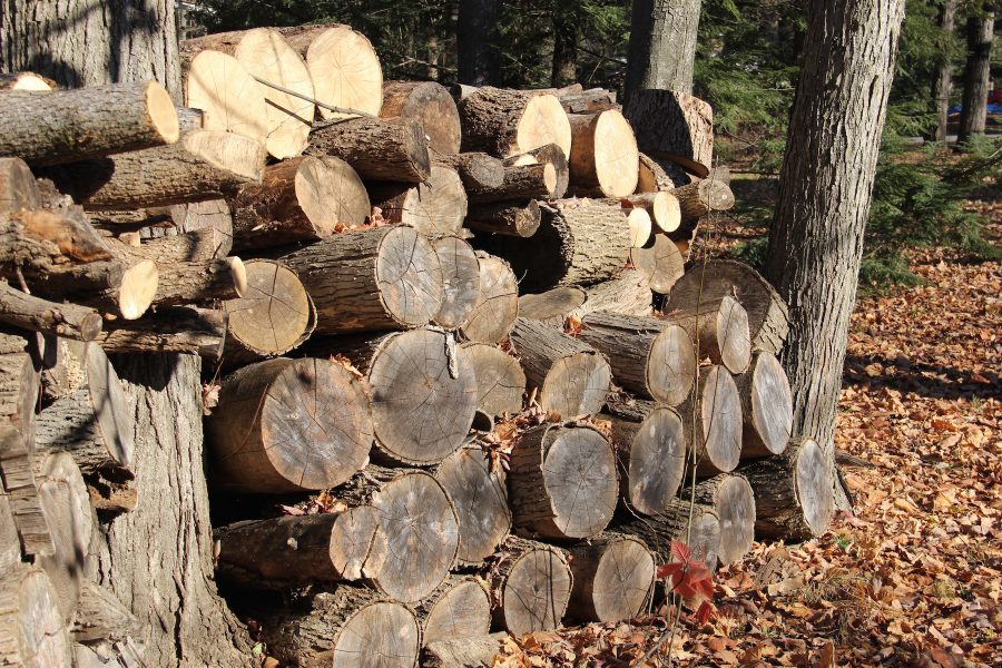 firewood storage tips